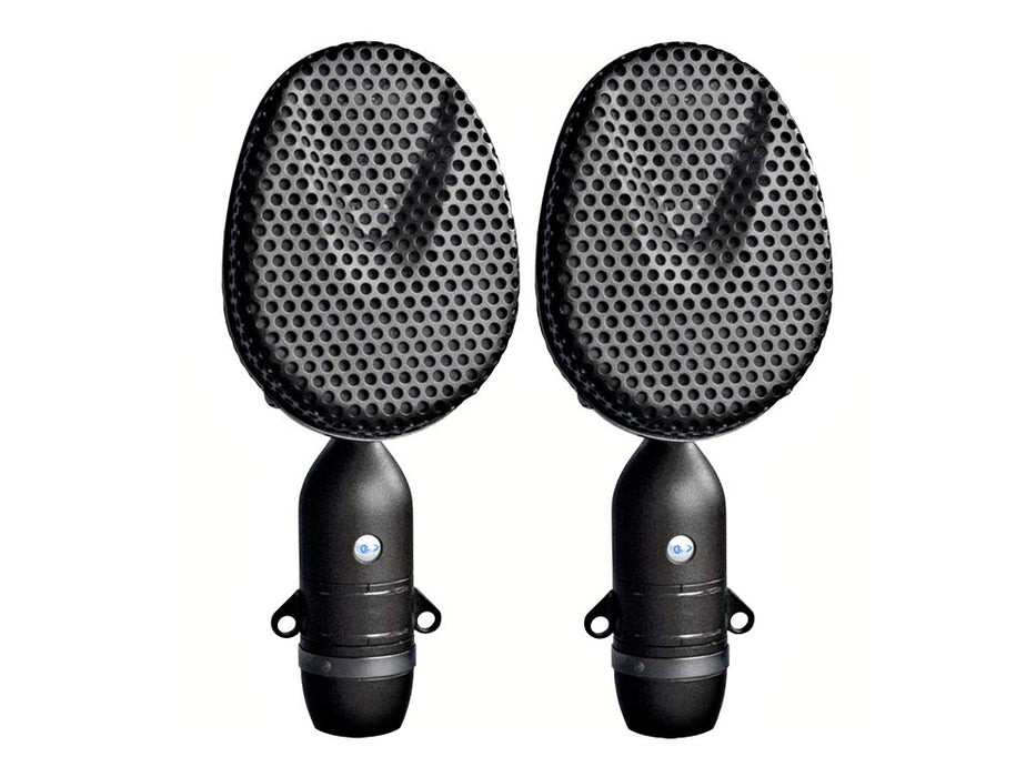 Coles 4038 Studio Ribbon Microphones - Matched Pair