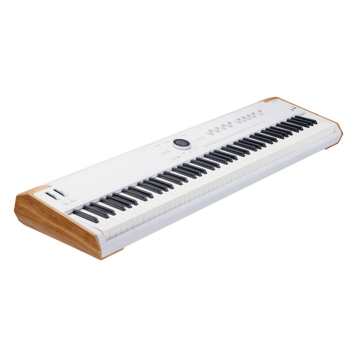 Arturia AstroLab 88 - Avant-Garde Stage Keyboard