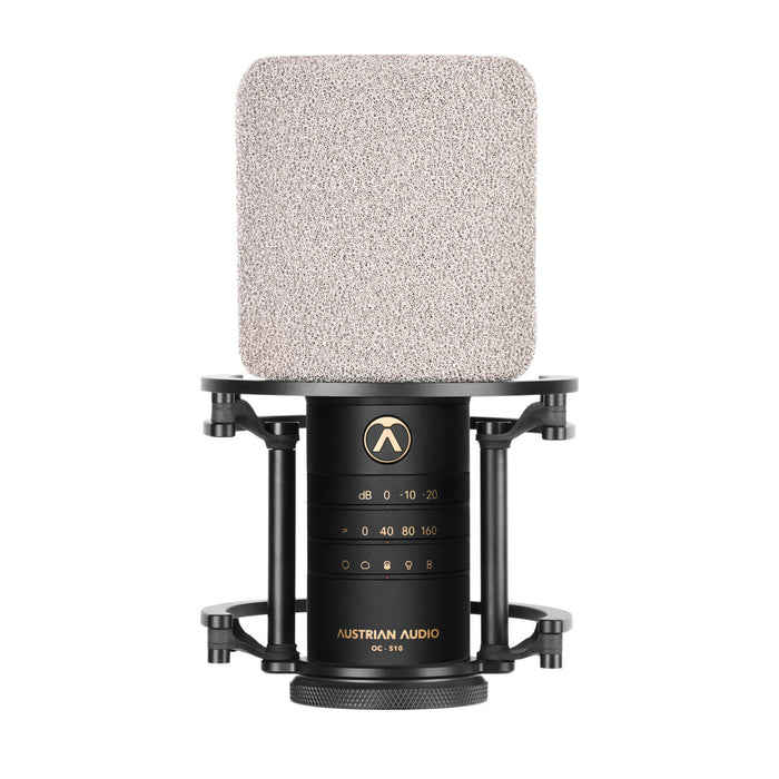 Austrian Audio OC-S10 Studio Set