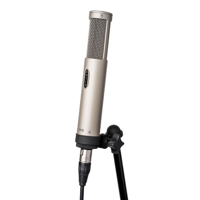 Royer R-12 - Active Ribbon Microphone