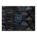 Blue Cat Audio Multi Pack – official bundle artwork