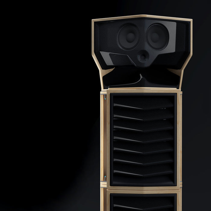 TPI Type. MFR Loudspeaker system 2 x 18, 1 x 15, 2 x 8 and 1 x 1" drivers. Carbon Louvres.