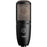 AKG Perception P220 - Large Diaphragm True Condenser Microphone