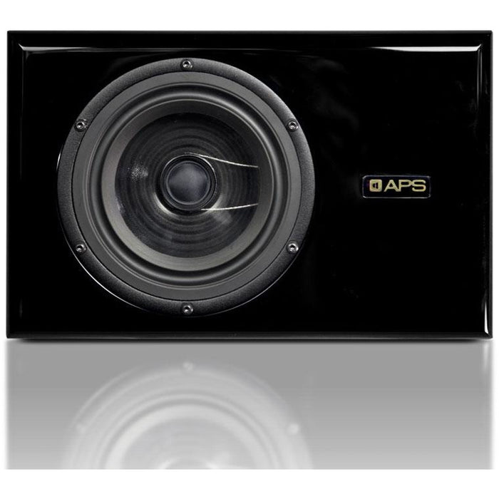APS COAX - Dual-Concentric Two-Way Speaker 10.2" 280W (Pair) - Black