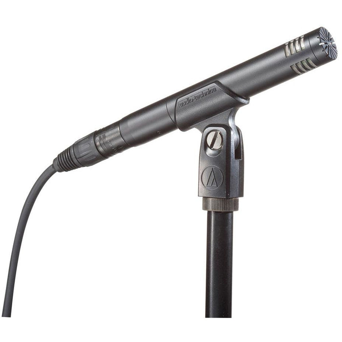 Audio Technica AT2031 - Cardioid condenser end address microphone