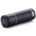 DPA 2006C - Twin Diaphragm Omni Microphone, Compact