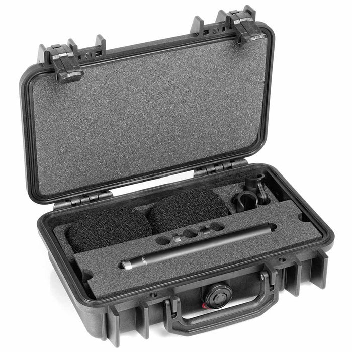 DPA ST4006A - d:dicate™ 4006A Stereo Pair with Clips and Windscreens in Peli Case