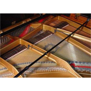 Earthworks PM40 - PianoMic System