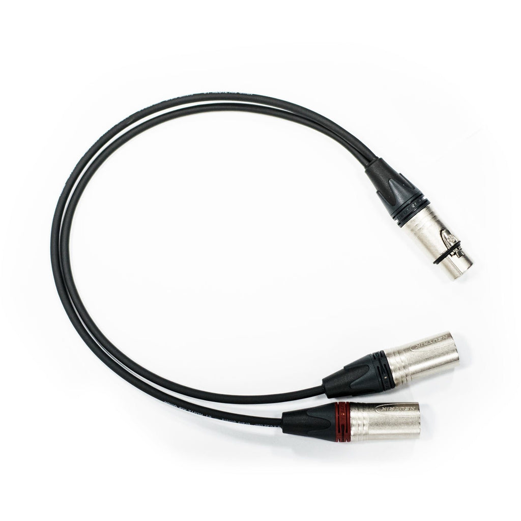 RCX5M Z 002 0 Conector XLR Recta de 5 pin Re An Products Macho, contactos de L