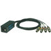 Klotz Catlink 4 Channel Multicore System - AES IN (CLAES3PIP2) 
