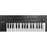 Native Instruments Kontrol M32 - Micro-size 32 key controller keyboard