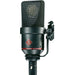 Neumann TLM 170R MT