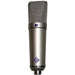 Neumann U89i