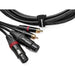 Dual Phono/RCA to Dual Female XLR