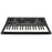 Korg Minilogue XD - Polyphonic Analogue Synthesizer with Multi-Engine Digital Effects