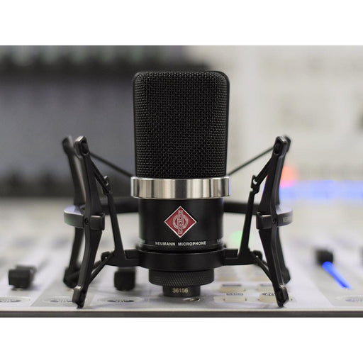 Neumann TLM 102 
